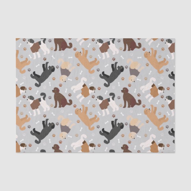 Papier Mousseline Labradoodle / Os et pattes Goldendoodle (Recto)