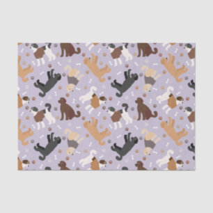 Papier Mousseline Labradoodle / Os et pattes Goldendoodle