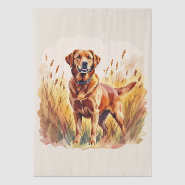Papier Mousseline Labrador Retriever Fox Red Chien (Recto)