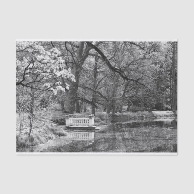 Papier Mousseline Lac romatique (Recto)