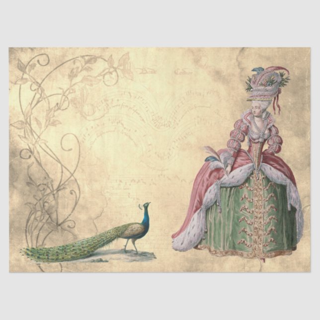 Papier Mousseline Lady et Peacock (Recto)