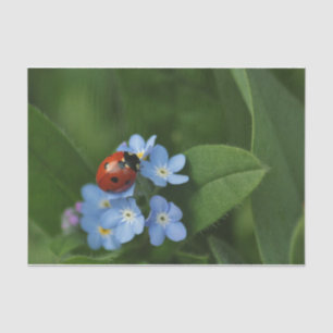 Papier Mousseline Ladybug On Flowers