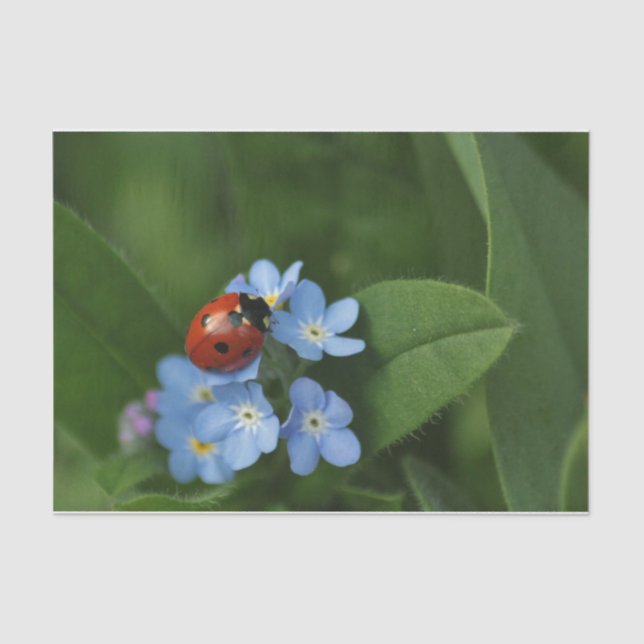 Papier Mousseline Ladybug On Flowers (Recto)