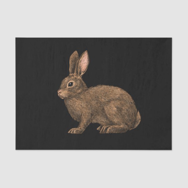 Papier Mousseline Lapin 2 (Recto)