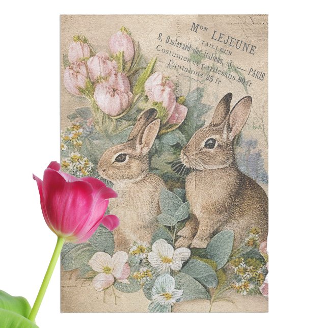 Papier Mousseline Lapin Lapin Brown Shabby Floral Découpage Français (Créateur téléchargé)