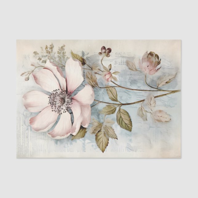 Papier Mousseline Large Slightly Abstract Pale Pink Long Stem Peony (Recto)