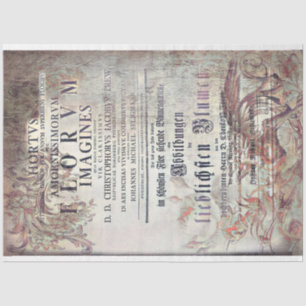 Papier Mousseline Latin ephemera