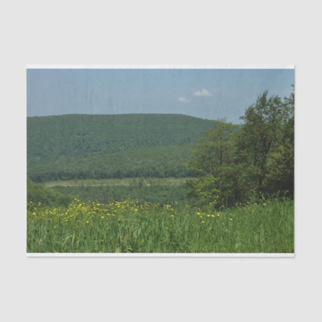 Papier Mousseline Laurel Highlands Pennsylvania Summer Photography (Recto)