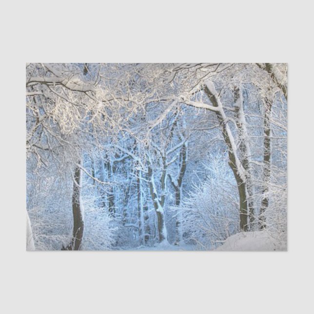 Papier Mousseline l'autre pays des merveilles d'hiver (Recto)