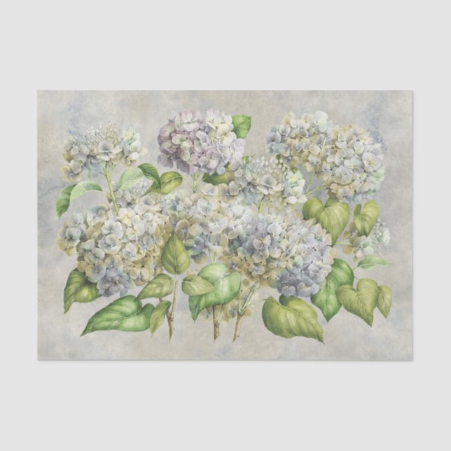 Papier Mousseline Lavande florale d'hortensia sur le cru gris (Recto)