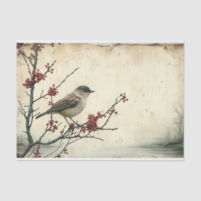 Papier Mousseline Le Bruant solitaire (Recto)