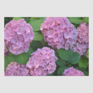 Papier Mousseline Le buisson d'hortensia rose