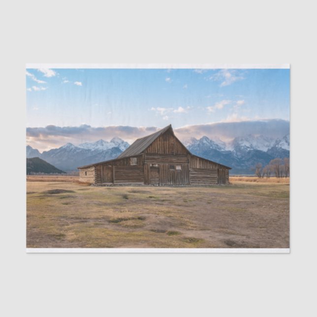 Papier Mousseline Le Cabine fait son Casquette papier (Recto)