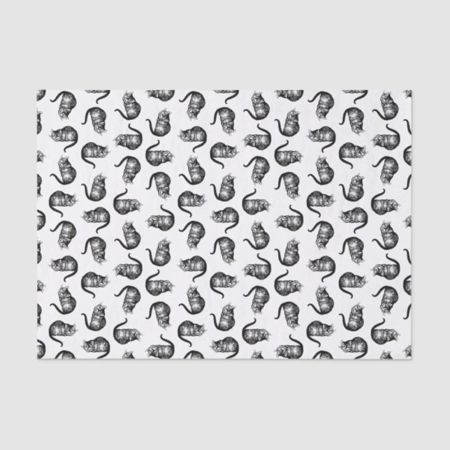 Papier Mousseline Le Cheshire Cat Alice au pays des merveilles (Recto)