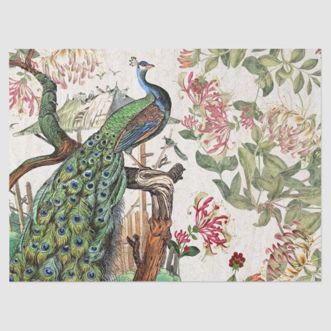 Papier Mousseline Le chèvrefeuille d'oiseaux de paon fleurit le (Recto)