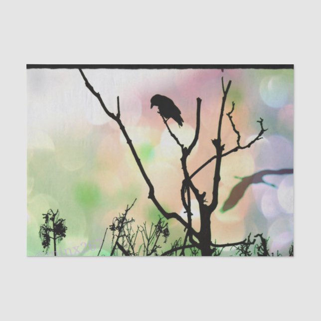 Papier Mousseline Le Corbeau solitaire (Recto)