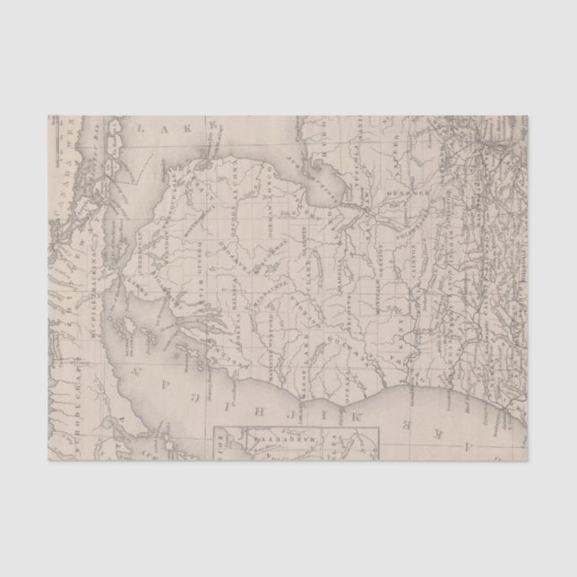 Papier Mousseline Le Michigan 9 (Recto)