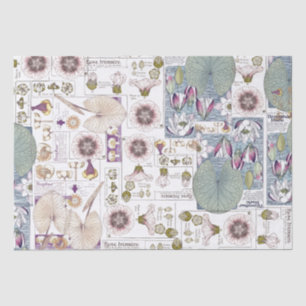 Papier Mousseline Le nénuphar français de Nouveau d'art fleurit le
