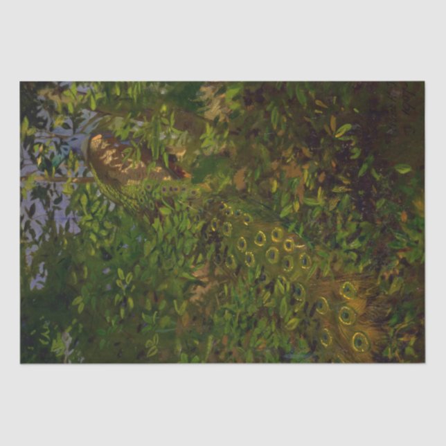 Papier Mousseline Le paon dans les bois (par Abbott Henderson Thayer (Recto)