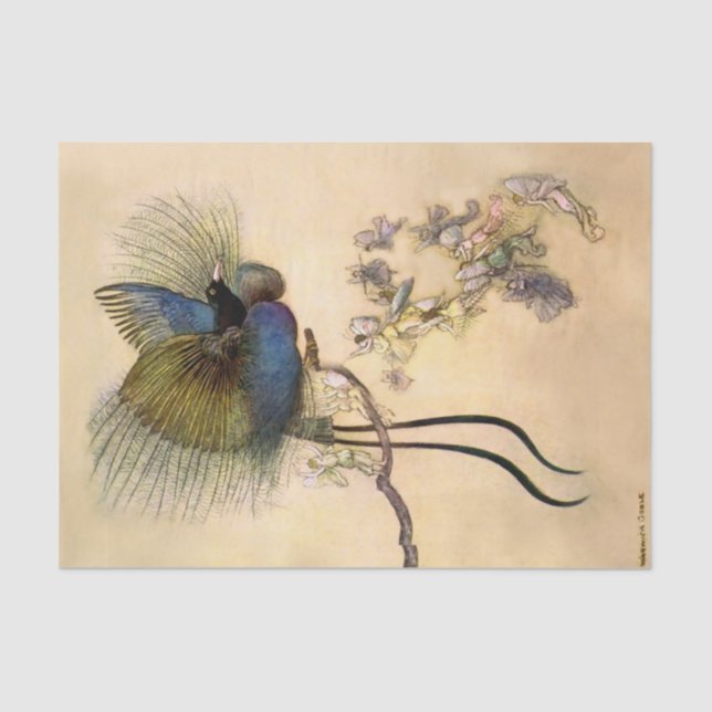 Papier Mousseline "Le plus bel oiseau" de Warwick Goble (Recto)