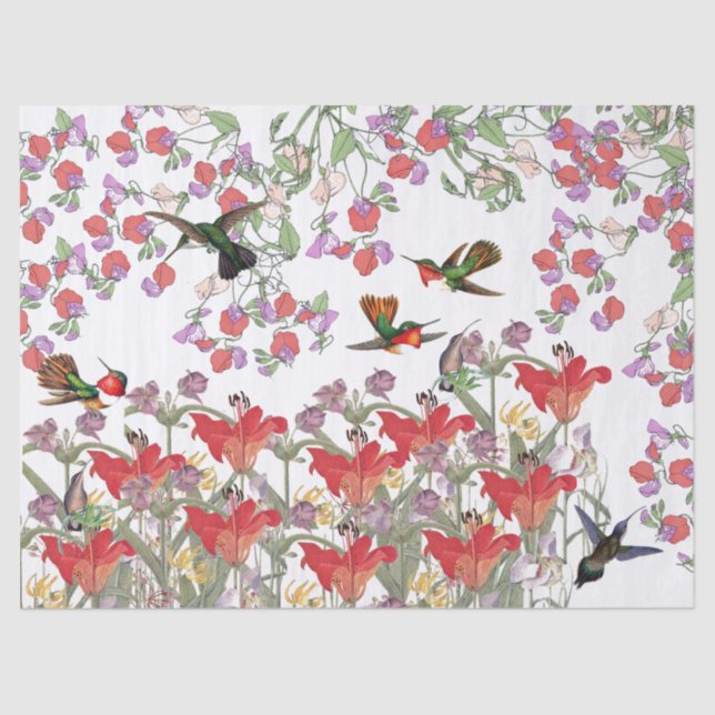 Papier Mousseline Le pois doux d'oiseaux de colibri fleurit le (Recto)