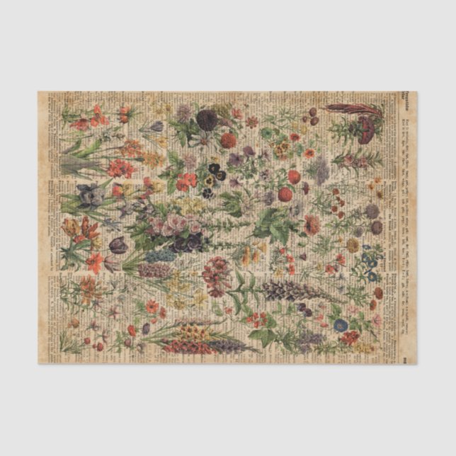 Papier Mousseline Le pré coloré fleurit l'art de dictionnaire (Recto)