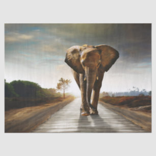 Papier Mousseline L'éléphant