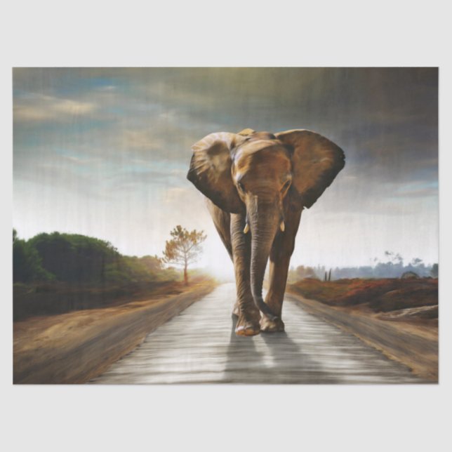 Papier Mousseline L'éléphant (Recto)