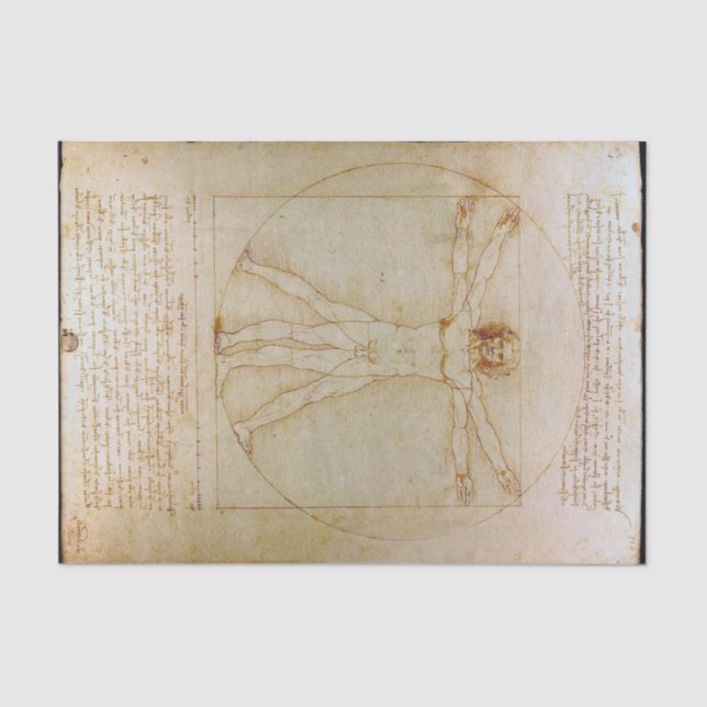 Papier Mousseline Léonard De Vinci, L'Homme Vitruvien, Renaissance (Recto)
