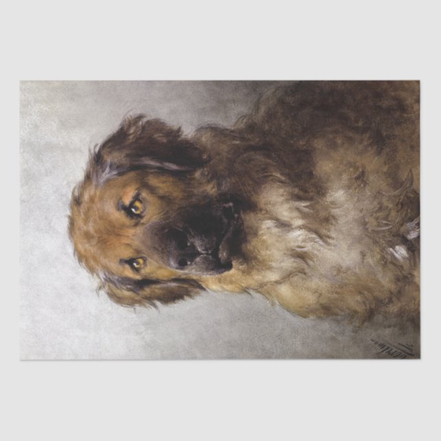 Papier Mousseline Leonberger Chien par Otto Eerelman (Recto)