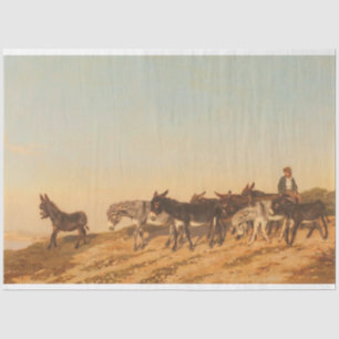 Papier Mousseline Les ânes dans le sud de la France (par Eugène Burn