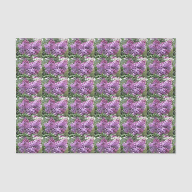 Papier Mousseline Les beaux lilas (Recto)