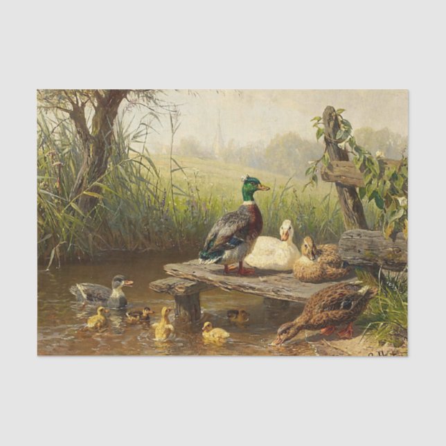 Papier Mousseline Les canards à l'étang par Carl Jutz (Recto)