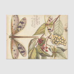 Papier Mousseline Les libellules aux Feuilles et aux fruits
