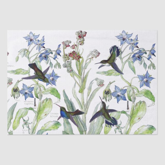 Papier Mousseline Les oiseaux Starflower de colibri fleurit le (Recto)