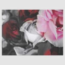 Les roses noirs et blancs se fanent