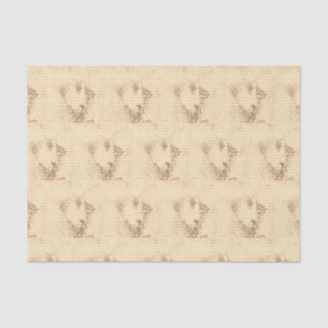 Papier Mousseline Lettre manuscrite Sepia vintage (Recto)