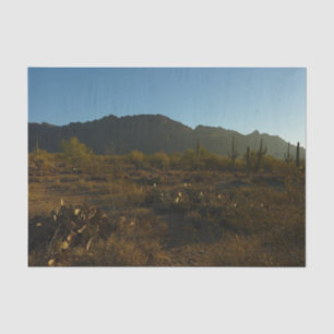 Papier Mousseline Lever du soleil du Saguaro dans le parc national d
