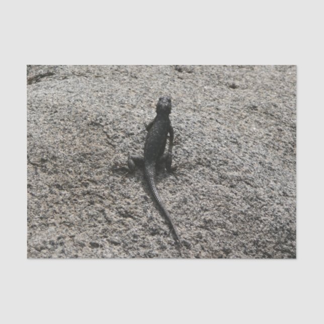 Papier Mousseline Lézard noir (Recto)