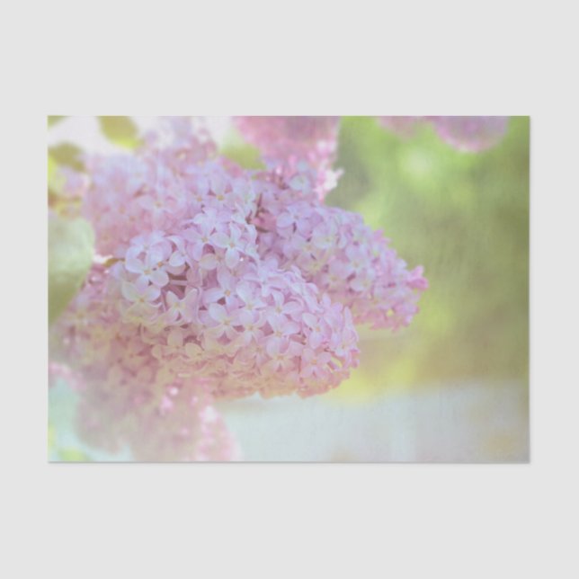 Papier Mousseline Lilac Fleur Lumière Violet Beau Pays (Recto)