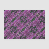 lilas rose violet | photo florale rose romantique