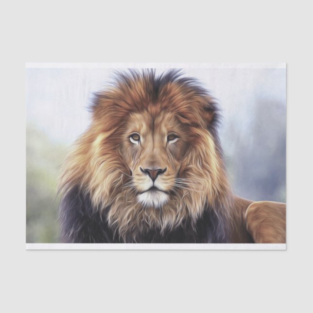 Papier Mousseline Lion africain masculin (Recto)