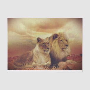 Papier Mousseline Lion Et Lioness Africains Majestic