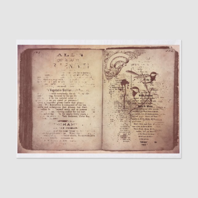 Papier Mousseline Livre Vintage (Recto)
