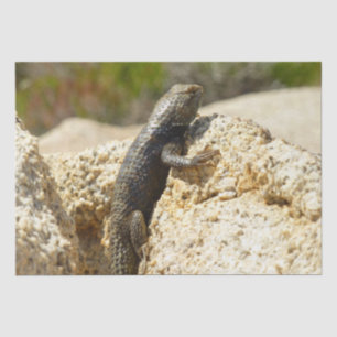 Papier Mousseline Lizard d'épinette à dos jaune à Joshua Tree