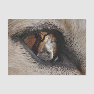 Papier Mousseline L'oeil du loup