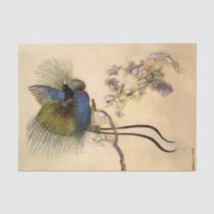 Papier Mousseline « L'Oiseau le plus beau » par Warwick Goble