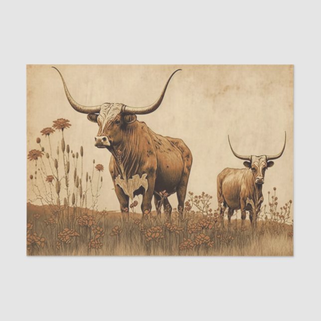 Papier Mousseline Longhorns du Texas primitif (Recto)