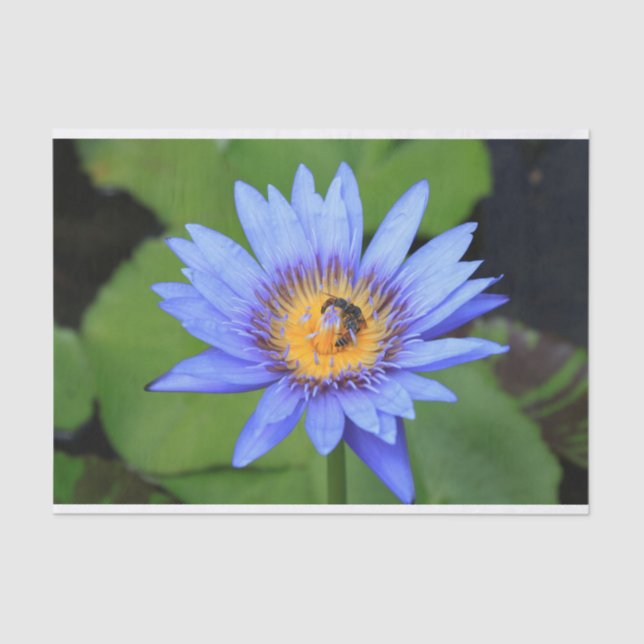 Papier Mousseline Lotus (Recto)