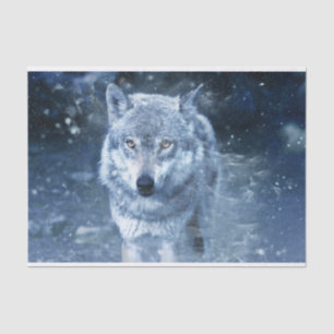 Papier Mousseline Loup à Blizzard